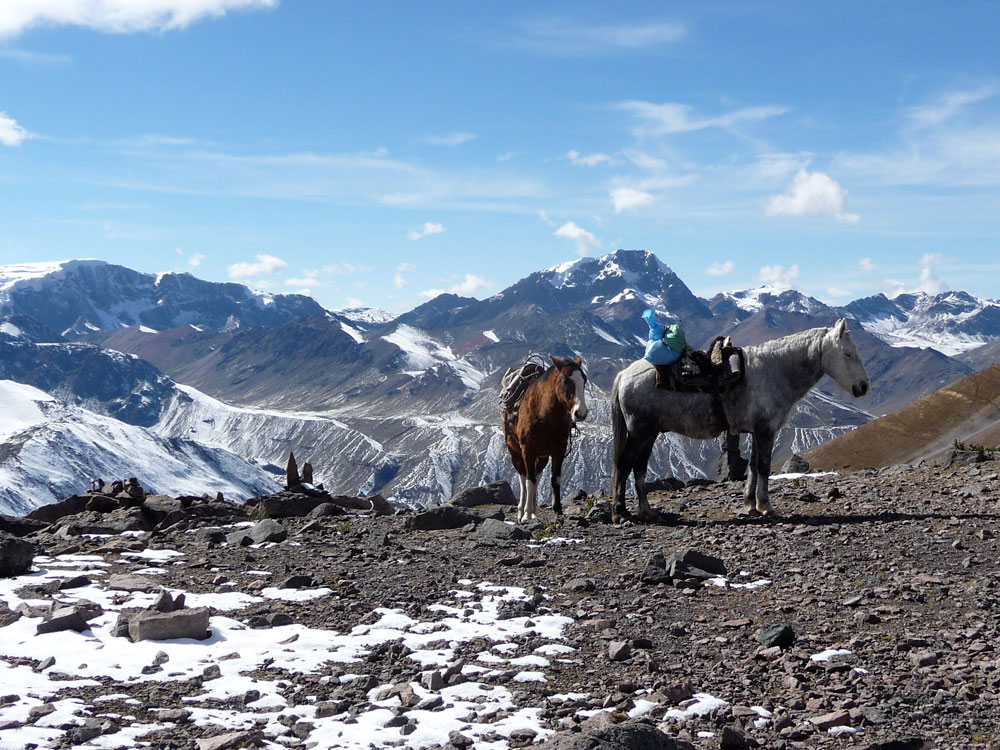 caballojalca